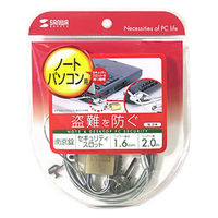 サンワサプライ ノートパソコンセキュリティ SL-21K 1個