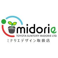 トヨタサントリーミドリエ MIDORIE DESIGN（ミドリエデザイン）観葉植物 グリート ホワイト17A4 1個（直送品）