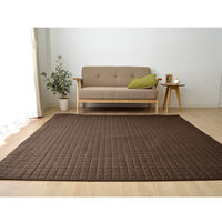 イケヒコ・コーポレーション スタイルBR約200×250cm 1291300000000 1枚