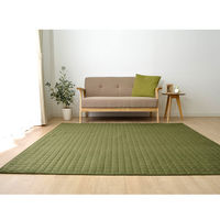 イケヒコ・コーポレーション コルムGN約200×250cm 1291300000000 1枚