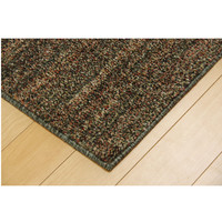 イケヒコ ラグ 2畳タイプ 抗菌 防臭 防ダニ 国産 『イリゼ』 グリーン 約190×190cm 1340630121903 1枚（直送品）