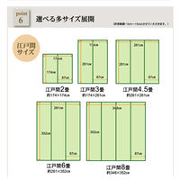イケヒコ 洗える PPカーペット 『ウィード』 ブラウン 江戸間6畳（約2610×3520mm） 1枚　水洗いラグ カーペット