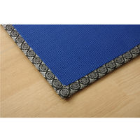 イケヒコ 国産い草使用 インストラクター公認 ヨガマット 「畳ヨガ」 約60×180cm NAGI 1枚（直送品）