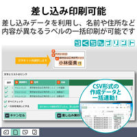 エレコム 宛名・表示ラベル/レターパック対応/お届け先ラベル/120枚/6面×20シート EDT-LPAD620 1袋（直送品）