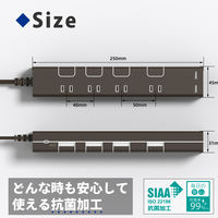 トップランド 延長コード 電源タップ 2m 4個口 個別スイッチ USB付 雷ガード 抗菌 STPC200-BR 1個