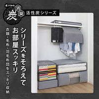 アストロ 活性炭着物収納ケース スリム 171-66 1セット(1個×10)（直送品）