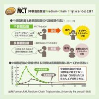 日清 健康食品 MCT 介護 介護食 介護食品 日清オイリオグループ 日清MCTオイル　90ｇPET 021177 3本