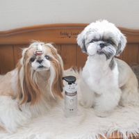 ナチュラル ペット用 食器洗剤 本体 200ml 1本 猫壱