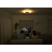 アイリスオーヤマ LEDシーリングライト 導光板 調光調色 8畳 4200lm CEA-A08DLP 1台