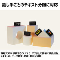 iFLYTEK VOITER mini A1J 1台