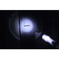 ナイトスターJP 2本入り DDSNS2GR 1セット（2本入り） 大作商事（直送品）