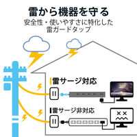 延長コード 電源タップ 2m 10個口 固定&吊下可能 雷ガード ほこり防止 黒 T-KF04-21020BK エレコム 1個