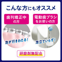 歯磨き粉 ピュオーラ 泡ハミガキ フレッシュミントの香味 つめかえ 100mL 花王