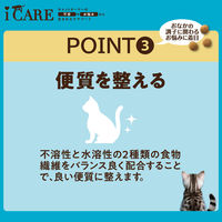 i CARE（アイケア）腸内環境ケア 12ケ月頃までの子ねこ用 フィッシュ＆チキン味 国産 400g 1袋 アイシア キャットフード