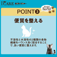 i CARE（アイケア）腸内環境ケア 成猫用 フィッシュ味 国産 400g 1袋 アイシア キャットフード