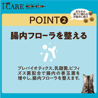 i CARE（アイケア）腸内環境ケア 成猫用 フィッシュ味 国産 1.2kg（300g×4袋）3袋 アイシア キャットフード