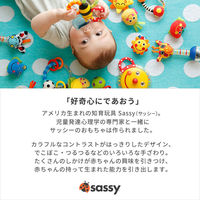 Sassy サッシー ふかふかしかけぬのえほん みつばち 1個 ダッドウェイ
