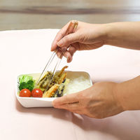 合同会社ビランク 弁当箱 500ml シエルプレ 1段 ランチボックス サックスピンク 479788 1個（直送品）