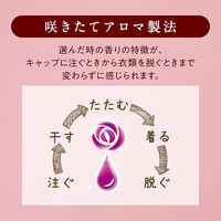 ソフラン アロマリッチ ダイアナ 詰め替え ウルトラジャンボ 1520ｍL 1セット（3個） 柔軟剤 ライオン (旧品)