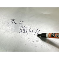 寺西化学 マジックインキ災害時用マーカー極太・中字 MSGCーT1ー2P 1パック（2本入）