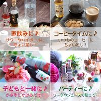 業務用 割り材 モナン バタフライピー・シロップ 700ml 3本 MONIN 割材 ドリンクベース フレーバーシロップ
