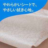 ウェットティッシュ エリエール ポケットウエットティシュー 99％純水 トイレに流せるタイプ 携帯用 1セット（1パック(7枚×6個入)×3）大王製紙