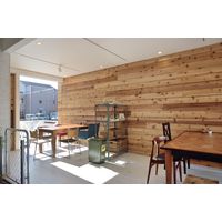 東谷 ROOM ESSENCE マルカート チェア アイボリー A2-102IV 1脚（直送品）