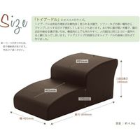 セルタン ドックステップ 2段RE A385-596/602RE 1台（直送品）