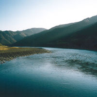 【ロハコ・アスクル限定】のりだくさんふりかけ ごましょうゆ 瀬戸内海産海苔 40g 1セット（1個×2）磯駒海苔  オリジナル