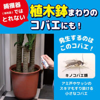 コバエがいなくなるスプレー 80回用 駆除 発生予防 無香料 20ml 1セット（3個入） KINCHO キンチョー