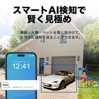 TP-LINK フルワイヤレスセキュリティカメラ TapoC460 1台