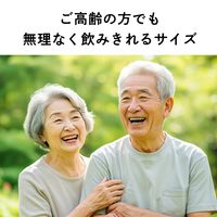 伊藤園 おーいお茶 緑茶・ピュアグリーン・ほうじ茶・玄米茶 ポケッティボトル 350ml 4種×6本 ペットボトル アソートセット