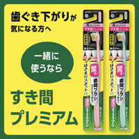 歯磨き粉 フッ素 ディープクリーン 温感ハミガキ 85g 花王