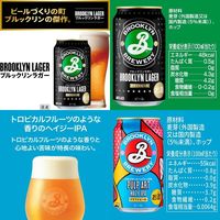 ビール クラフトビール アソート ビール＆クラフトビール 10種飲み比べセット 350ml 1セット(20本)
