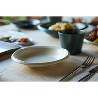 丸利玉樹利喜蔵商店 プレート 16cm M AirStack エアスタック 磁器 美濃焼 ホワイト 423204 1個（直送品）