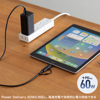 サンワサプライ USB TypeーC to Lightning変換アダプタ(MFi認証) AD-USB30LCFBK 1個