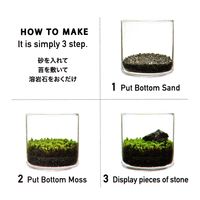 育てるグリーン(MOSS)2 MOSS LAKOLE/ラコレ