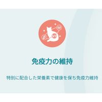 （数量限定） ピュリナワン 猫 水分補給セット 健康寿命 11歳以上 チキン＆フィッシュ 50g 12袋＋ おやつ消化 14g 4本 3袋 ネスレ日本