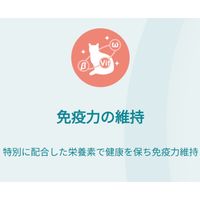 （数量限定） ピュリナワン 猫 水分補給セット 健康寿命 7歳以上 チキン 50g 12袋 ＋ おやつ免疫ケア 14g 4本 3袋 ネスレ日本