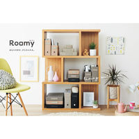 リヒトラブ Roomy 個別フォルダー A4 1山 ベージュ F292-16 1組（3枚入）（わけあり品）