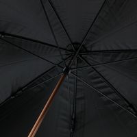 レディース ボーダーライト日傘 ブルー studio CLIP