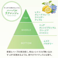 消臭力 トイレのフレッシュミスト リセット ハーバルリフレッシュ 本体 60mL 300プッシュ 1セット（1個×3） エステー