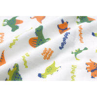 スケーター ギフトセット スリーパー ガラガラ ベビー お休みセット ディノサウルス 473426 1個（直送品）