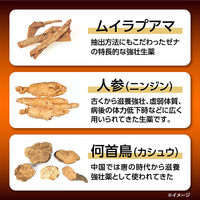 ゼナ F-II活力液 50ml×3本 大正製薬 滋養強壮 虚弱体質 肉体疲労【第2類医薬品】