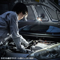 サンワサプライ  充電式 LED作業灯（無段階調光・角度調整・防水IPX6・多用途設置） LED-WL2（直送品）