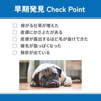 ベッツウェル 犬用食事療法食 皮膚ケア 1kg 1セット（1袋×6）マルカン ドッグフード