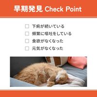 ベッツウェル 猫用食事療法食 消化器ケア 可溶性繊維 500g 1セット（1袋×6）マルカン キャットフード