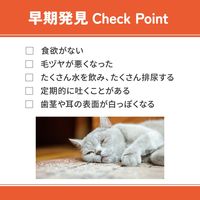 ベッツウェル 猫用食事療法食 腎臓ケア 500g 1セット（1袋×12）マルカン キャットフード