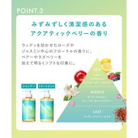 【アウトレット】数量限定　SOLAMY（ソラミー） UVアフターリペア ヘアケアトライアルセット（ヘアオイル付き） 800ml I-ne