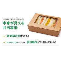パックスタイル 弁当容器 クラフトパック窓付 172-120W 00788799 1ケース(500個(50個×10))（直送品）